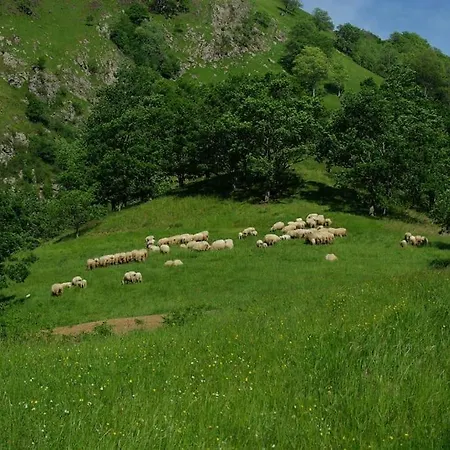 Maison De Charme Nature Et Riviere Au Pays Basque Villa